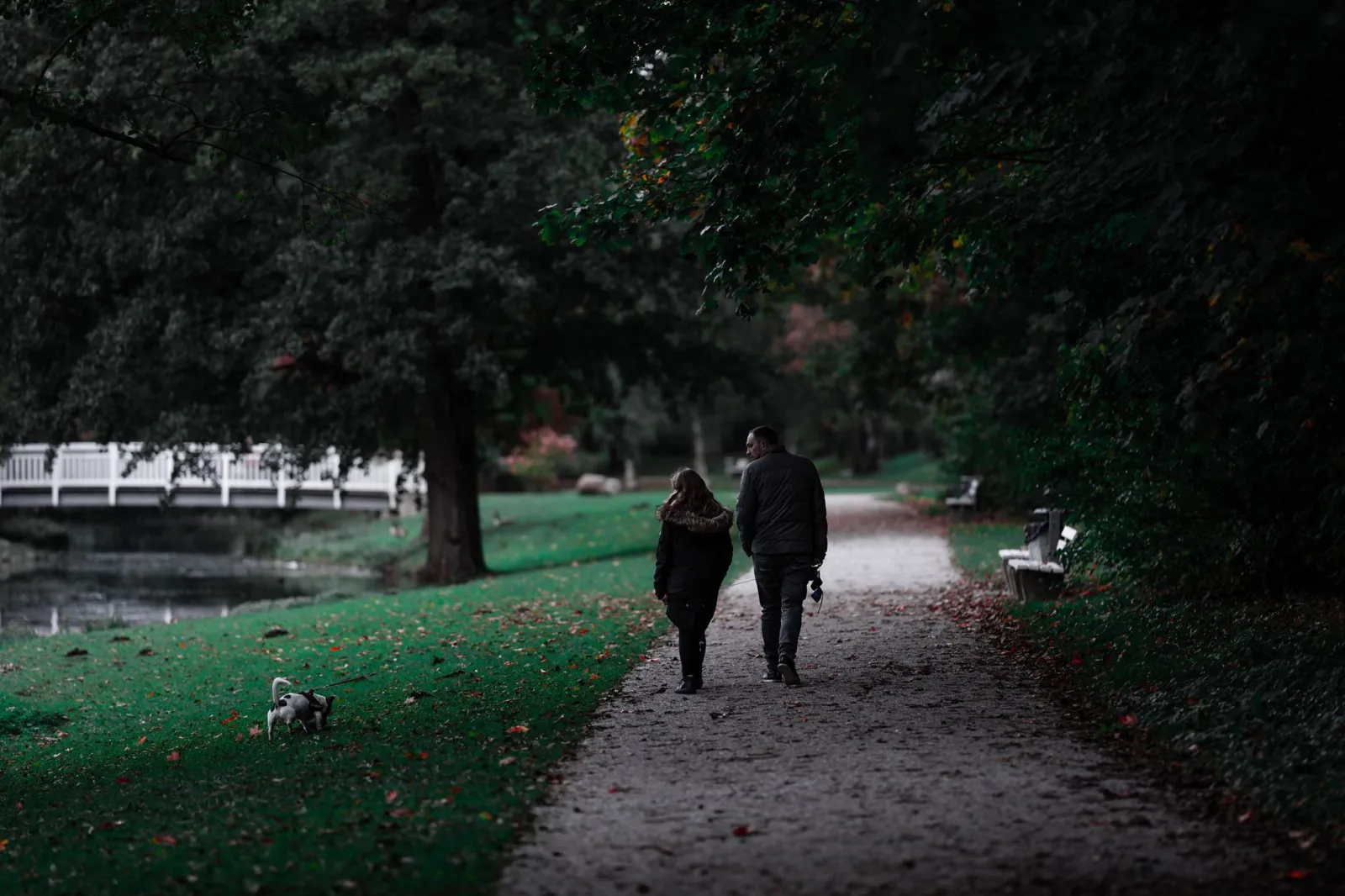 A couple walking their dog along a leafy path in an autumn park near a bridge and river.