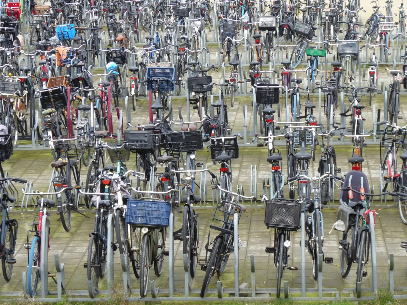 A crowded outdoor bicycle parking lot filled with numerous parked bicycles.
